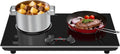 Inductiekookplaat, 3520W, 9 Standen, timer, 220V 3520W, Dubbele Met Draaiknopbediening, Kinderbeveiliging En Timer, Led Touch Bediening